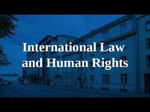 How Does International Law Protect Human Rights? – QOLUMNIST